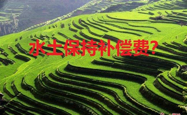 1648887566595859.jpg 1648887566595859.jpg